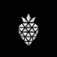 Financial Insights Logo